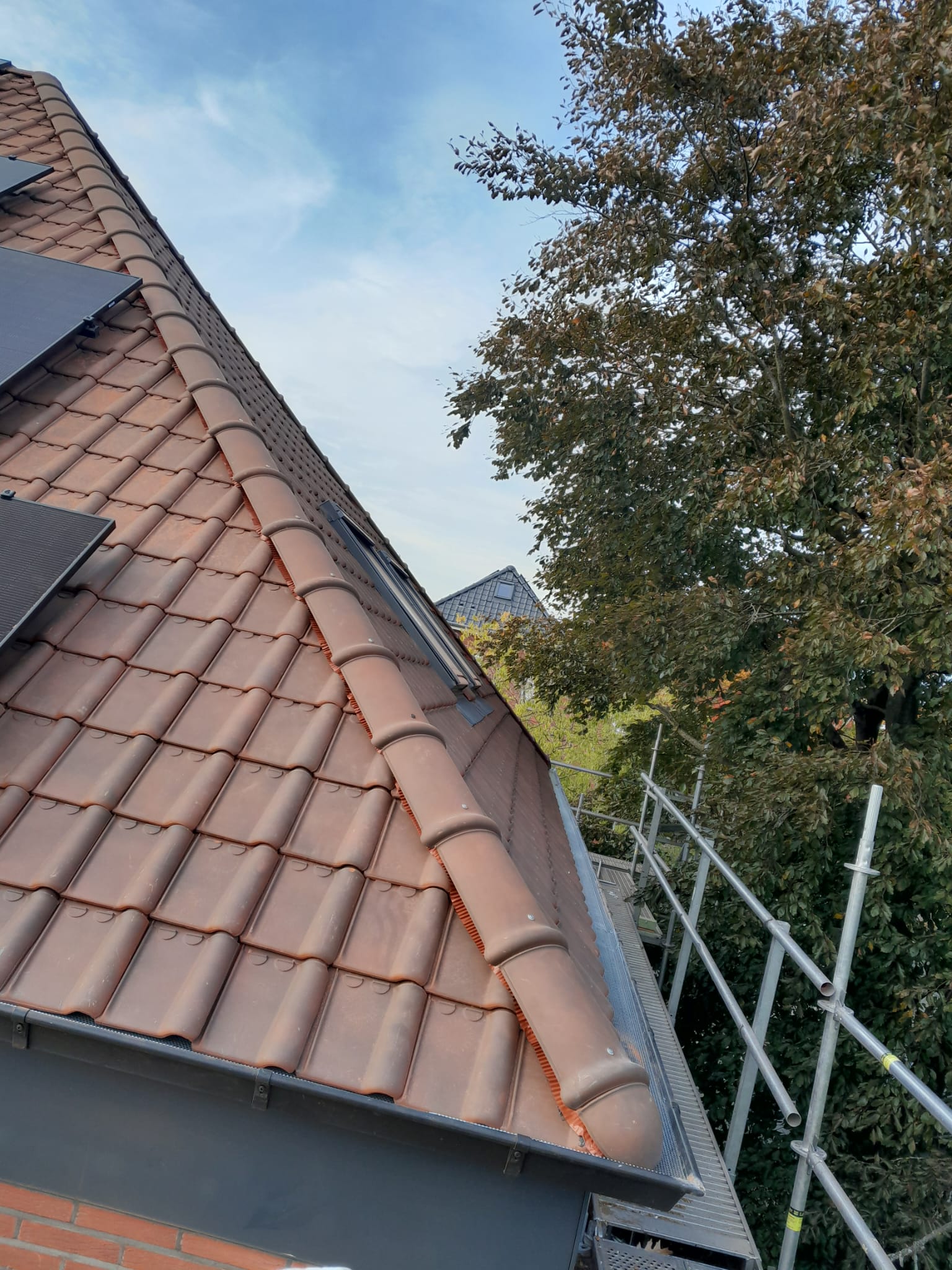 Nokvorsten en dakdetails